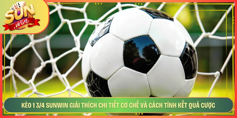 Kèo 1 3/4 Sunwin Giải Thích Chi Tiết Cơ Chế Và Cách Tính Kết Quả Cược