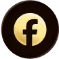 icon fb